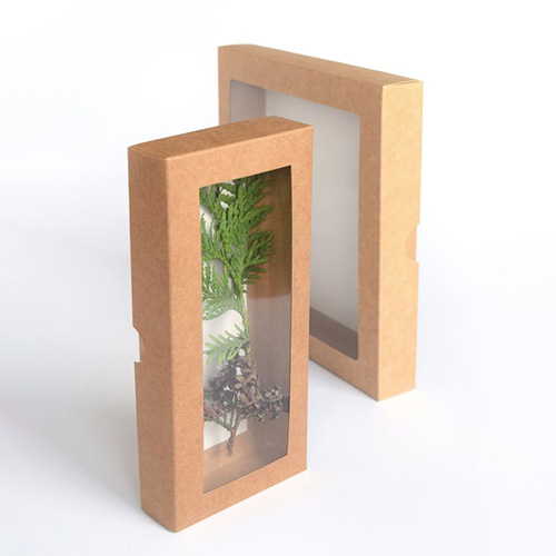 clear top box