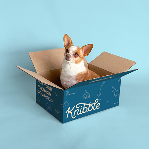 dog food subscription box bulk