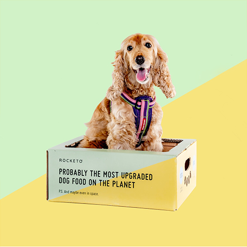 cosmetics boxes